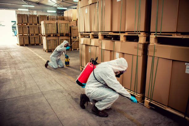 Best Affordable Pest Control Services  in Shanor Northvue, PA