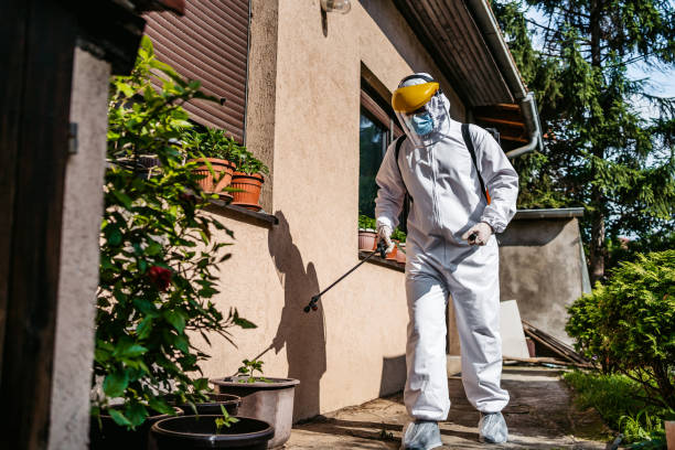 Best Spider Control Near Me  in Shanor Northvue, PA