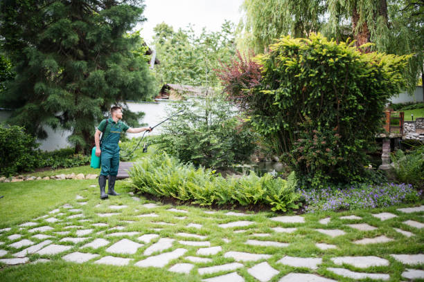 Best Mosquito Control Services  in Shanor Northvue, PA