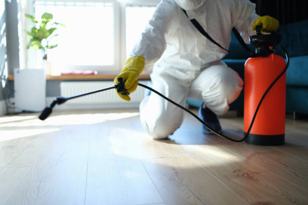 Best Flea Control Services  in Shanor Northvue, PA