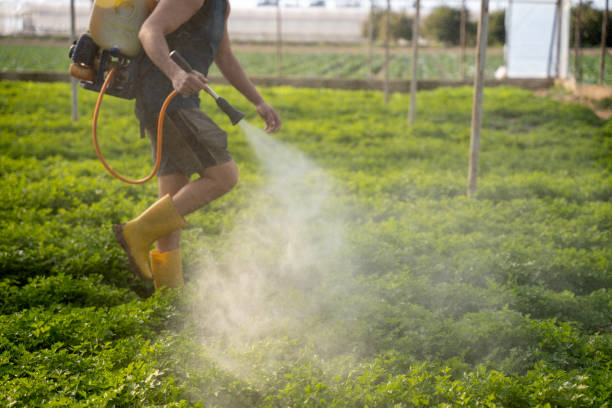 Best Pest Control Near Me  in Shanor Northvue, PA