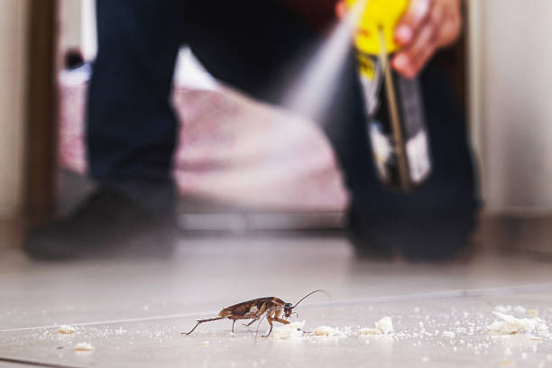 Best Pest Control for Restaurants  in Shanor Northvue, PA